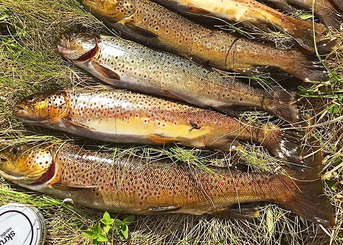Prázdninový dům 6 Person In Kviby-by Traum